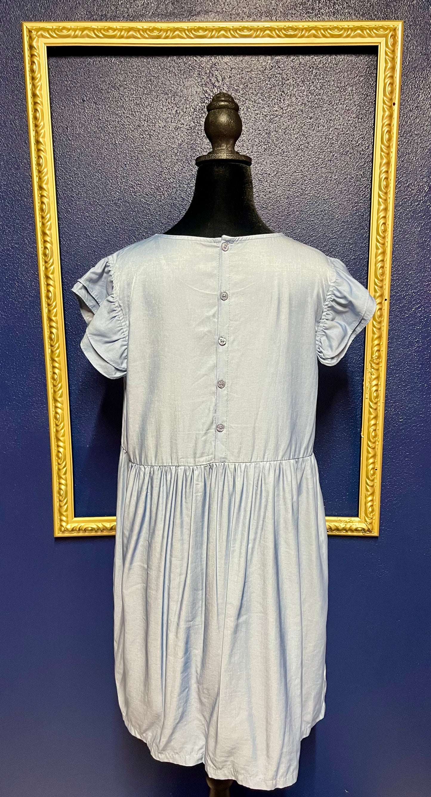 Powder Blue Dress
