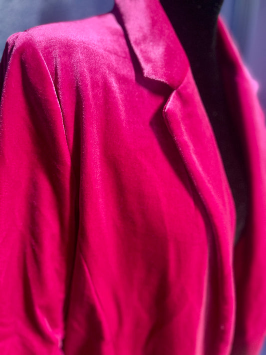 Skies Are Blue Pink Velvet Blazer