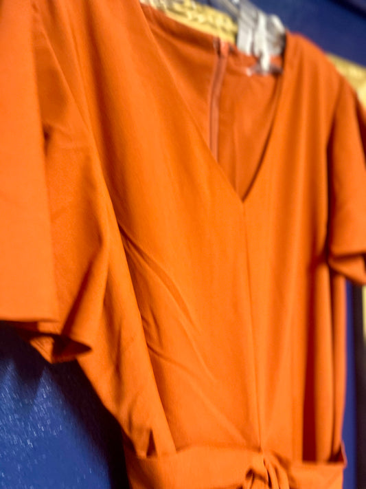 Preston & York Burnt Orange Jumpsuit