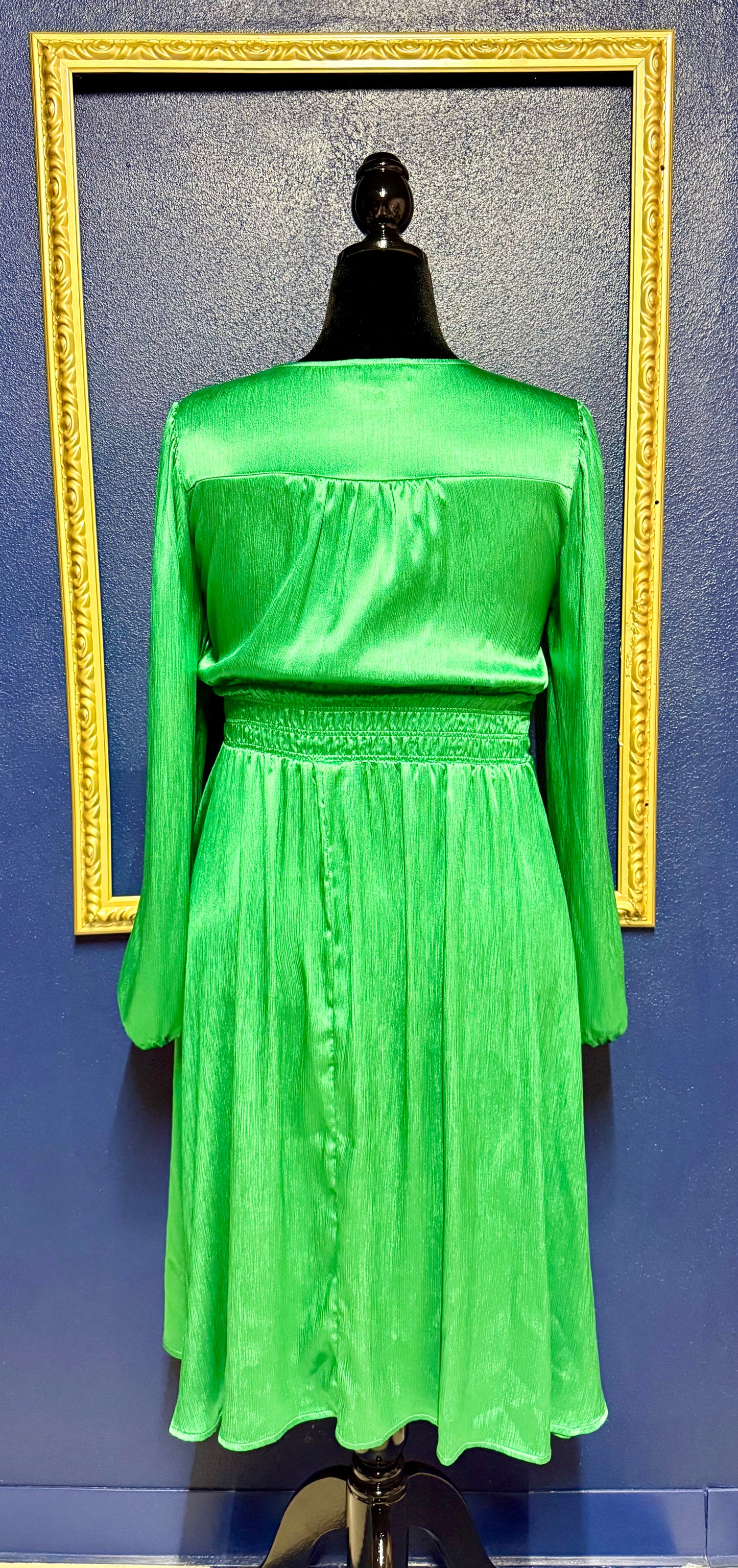 Pinch Green Silk Dress
