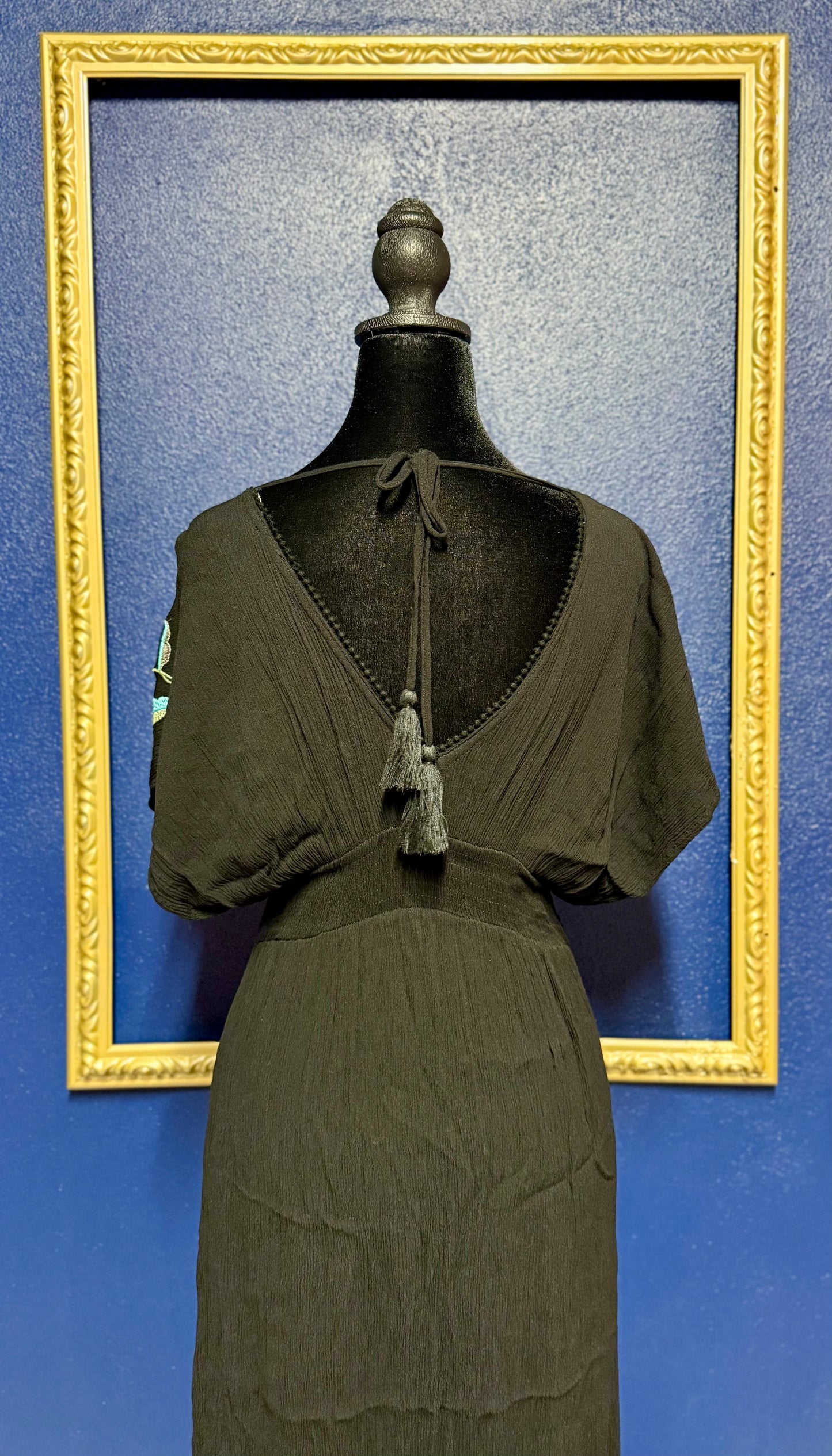 See and Be Seen Embroidered Dress