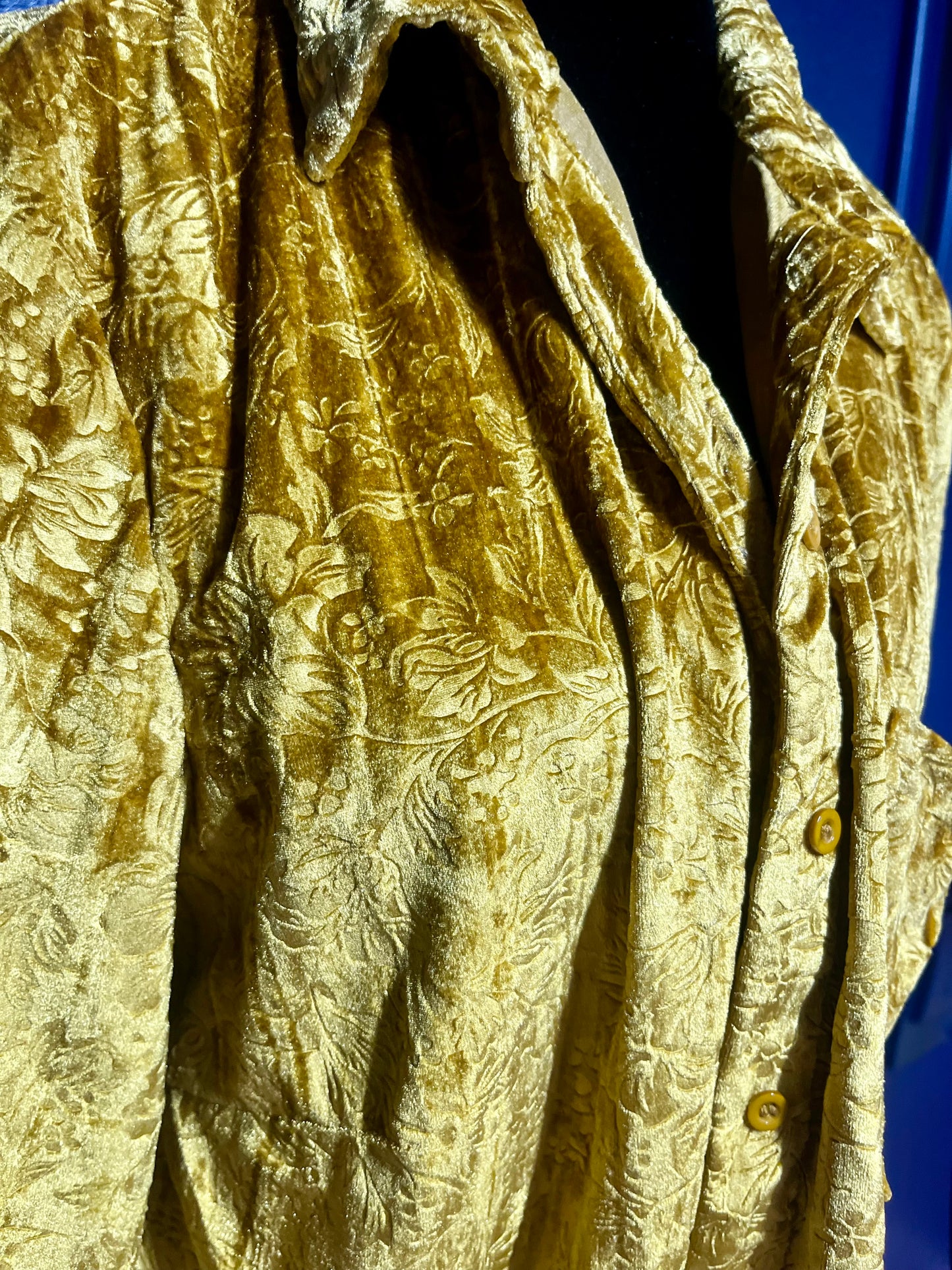 Umgee Gold Velvet Button Down