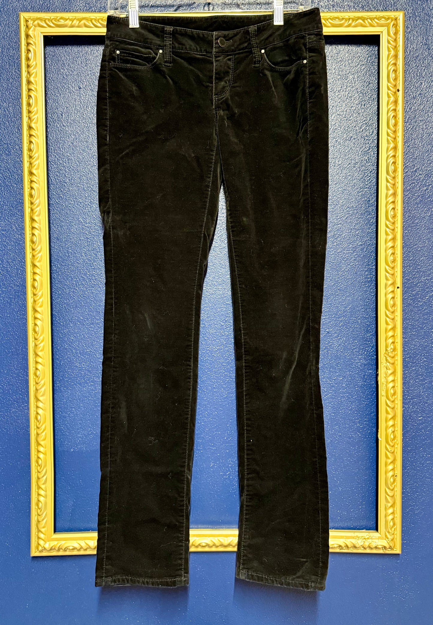 Ann Taylor Modern Fit Black Velvet Pants