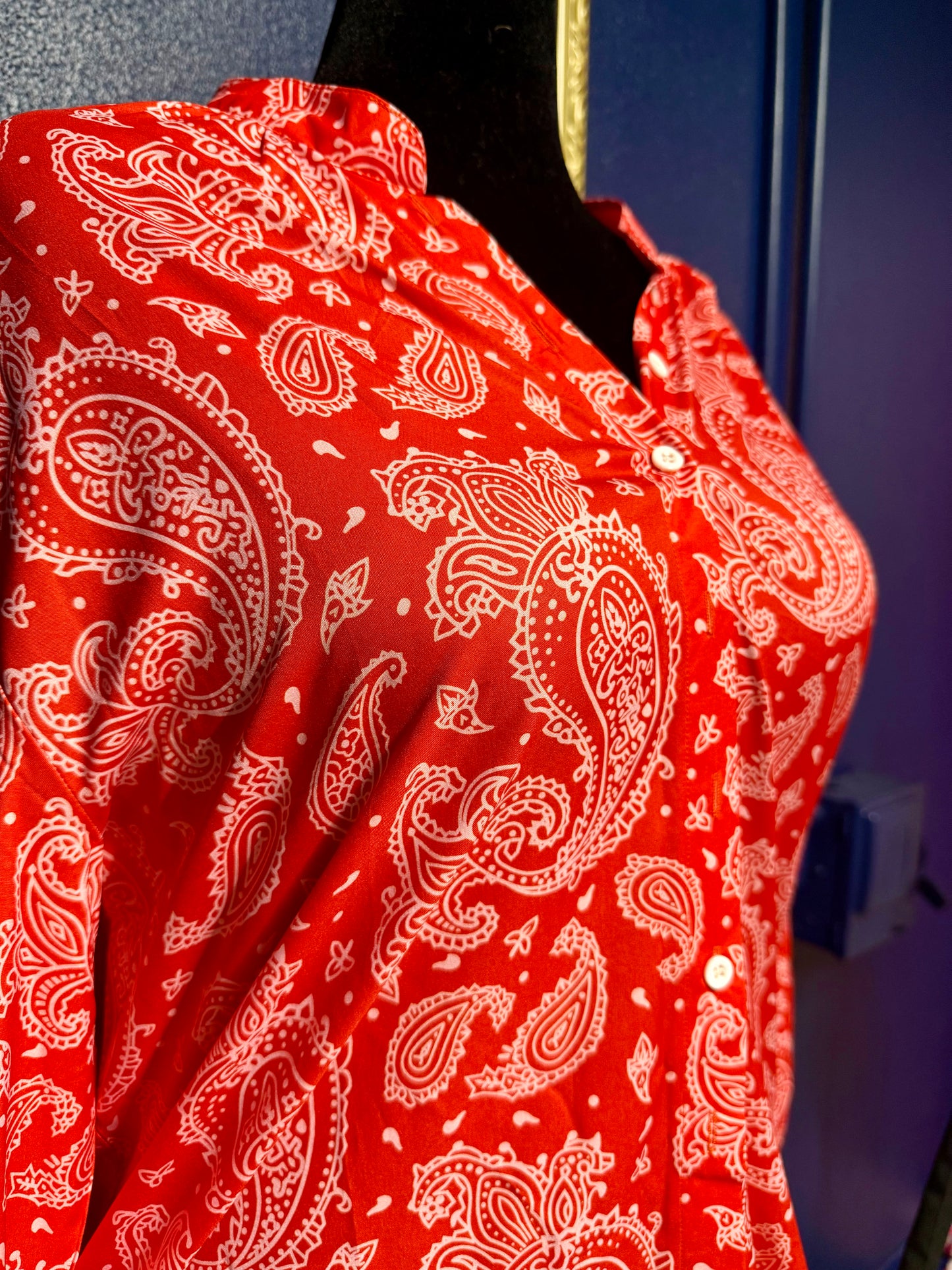 Red Paisley Blouse