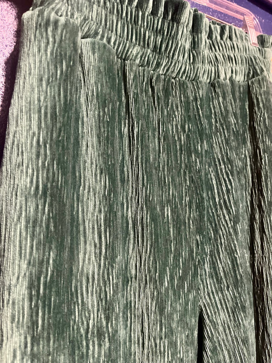 New In Green Velvet Pants