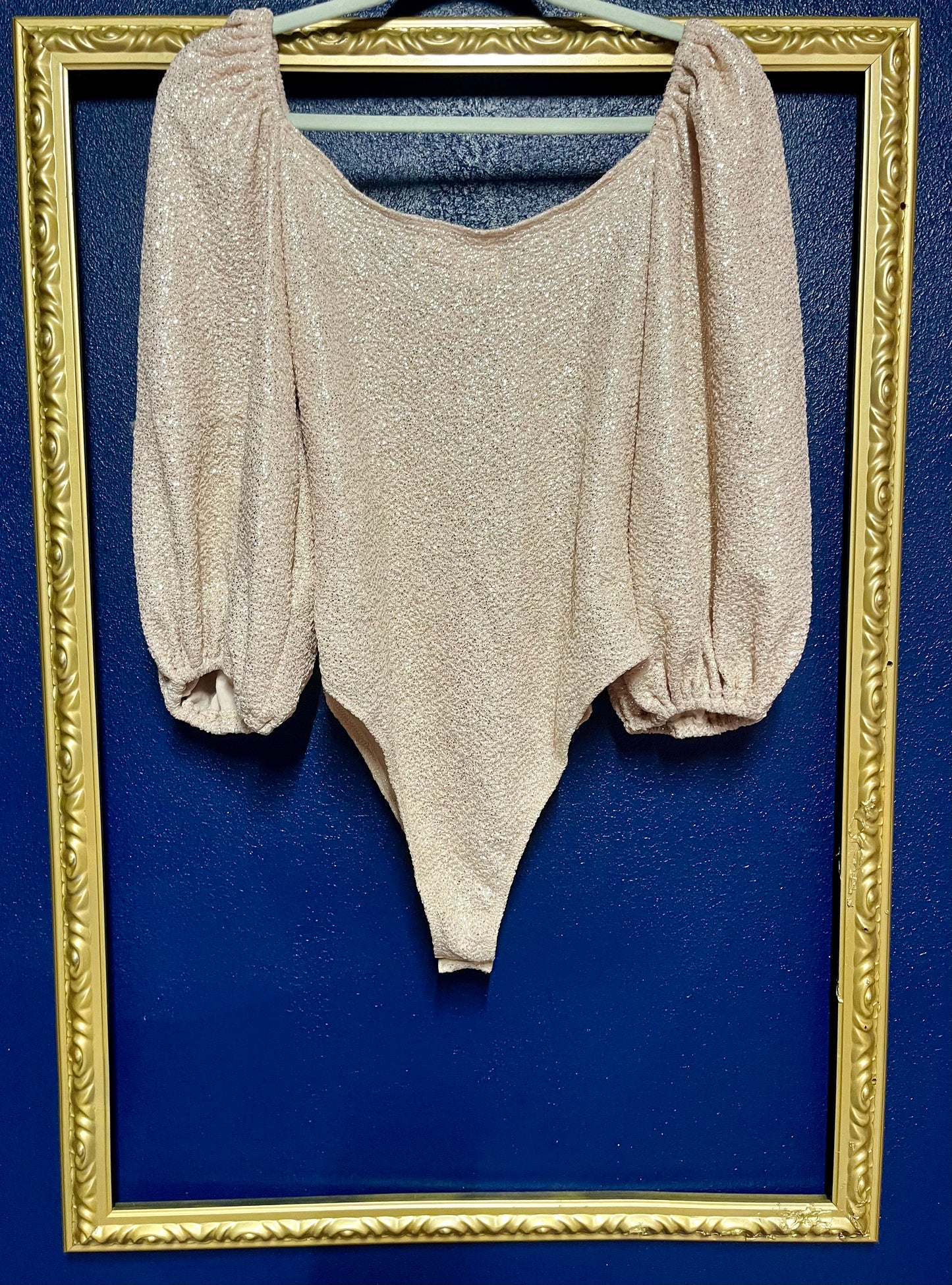 Bucket List Shimmery Bodysuit