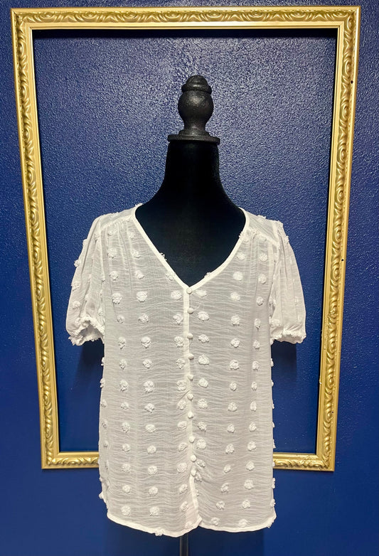 E&M Sheer Dot Blouse