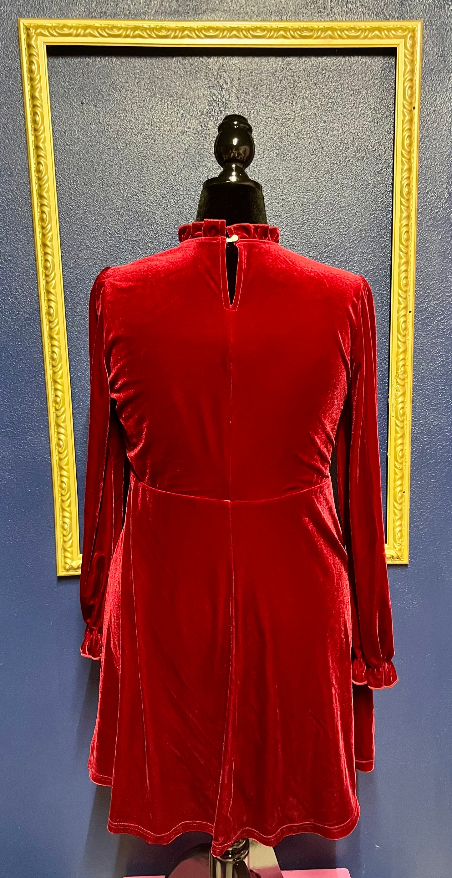 Red Velvet Dress