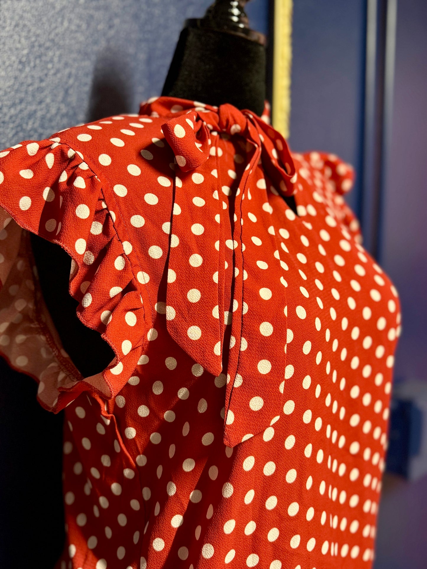 Red and White Polka Dot Blouse