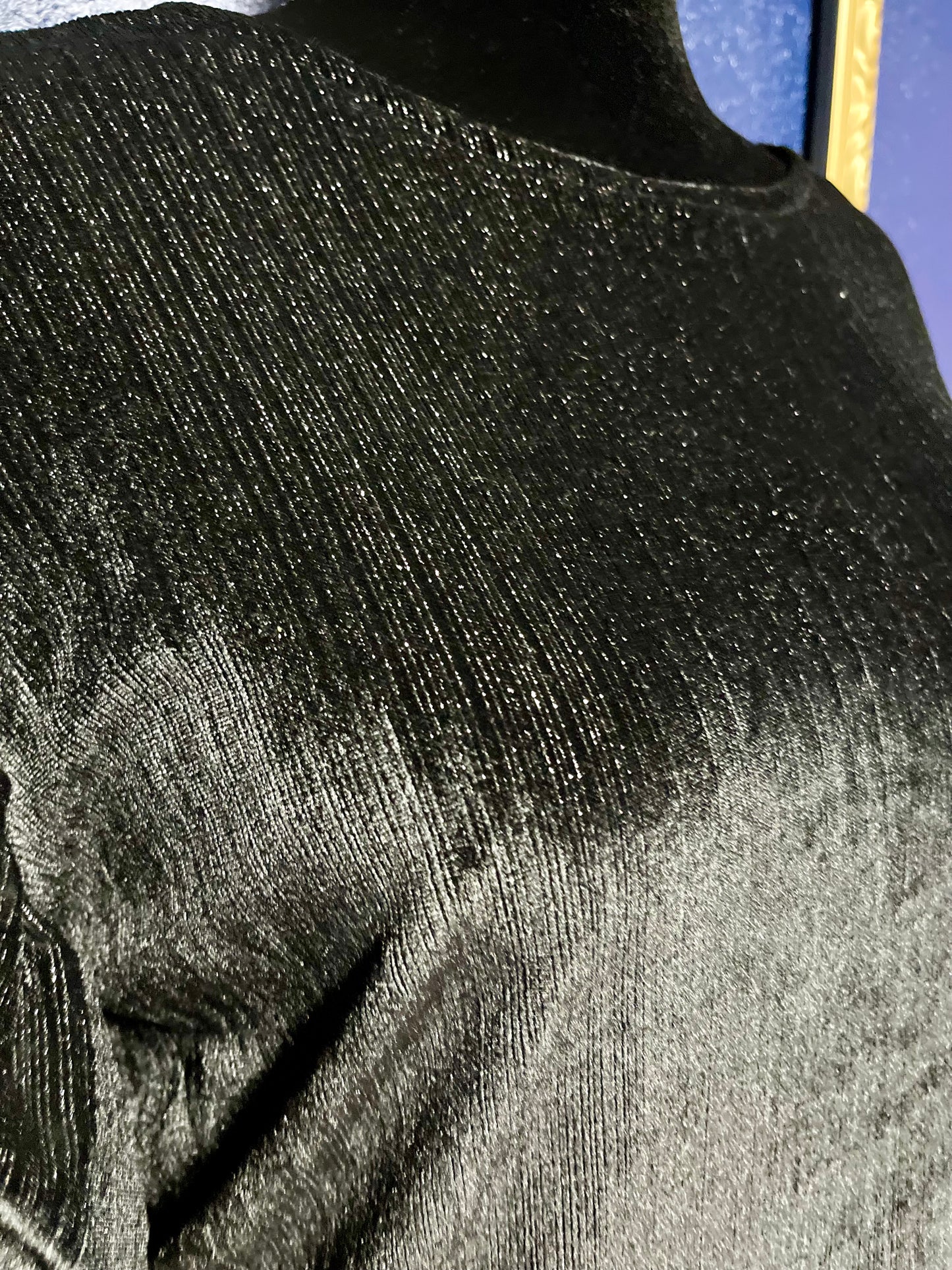 Jess Lea Black Shimmery Velvet Blouse