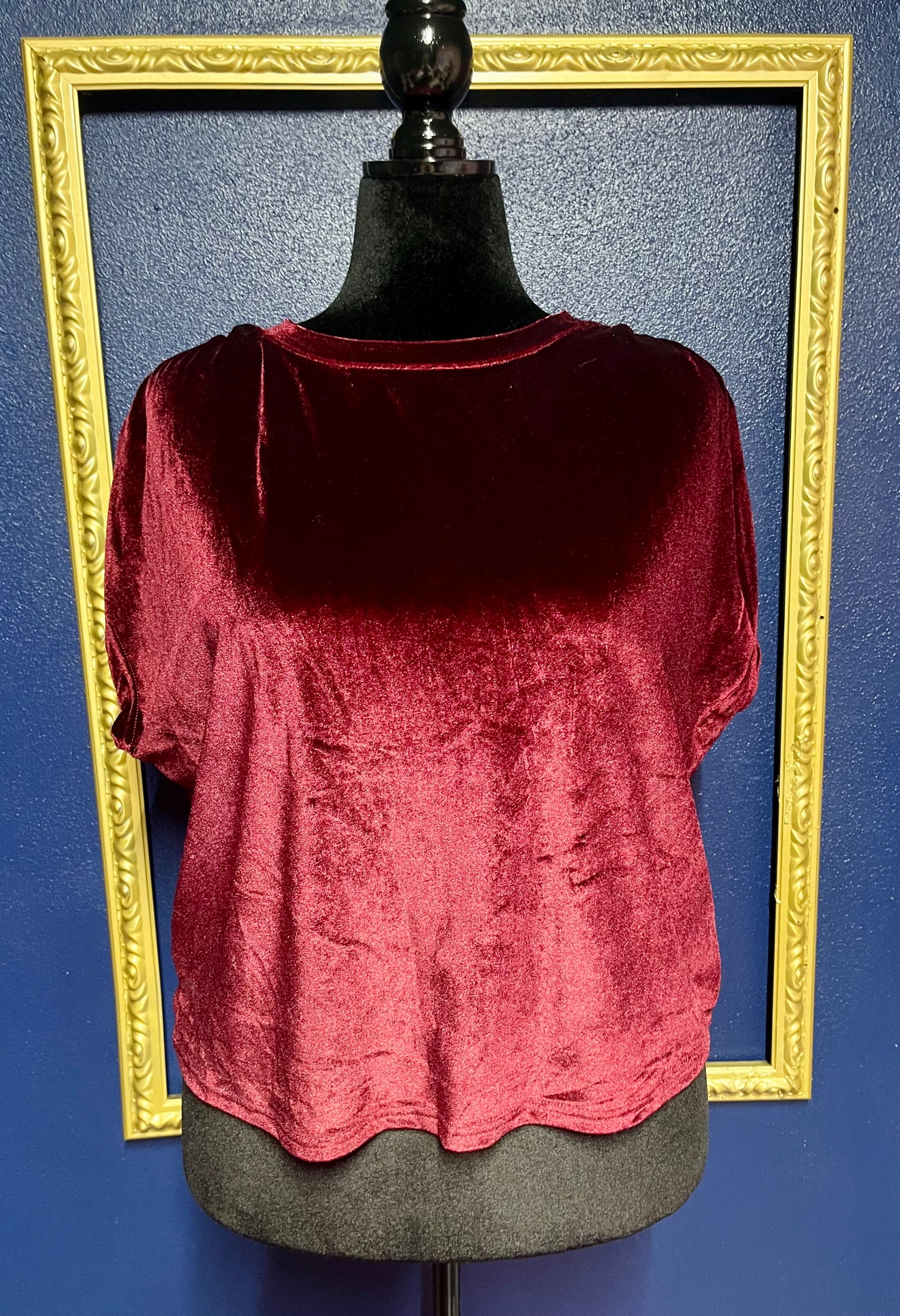 Amaryllis Maroon Velvet Top