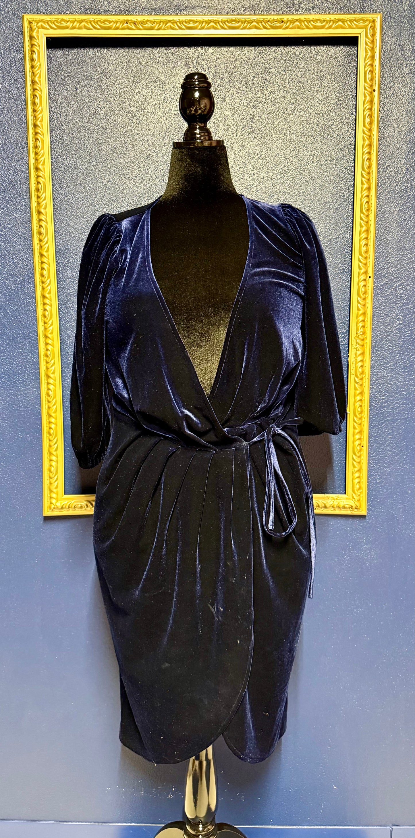 Lucy Paris Blue Velvet Dress