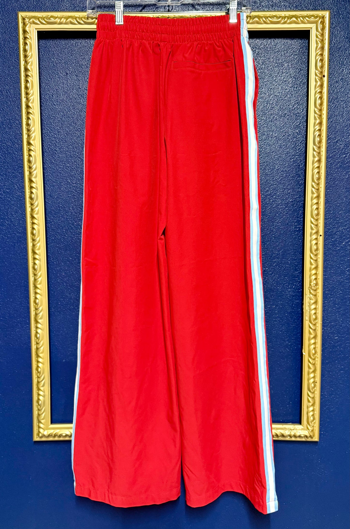 All in Motion Red and Light Blue Track Pants