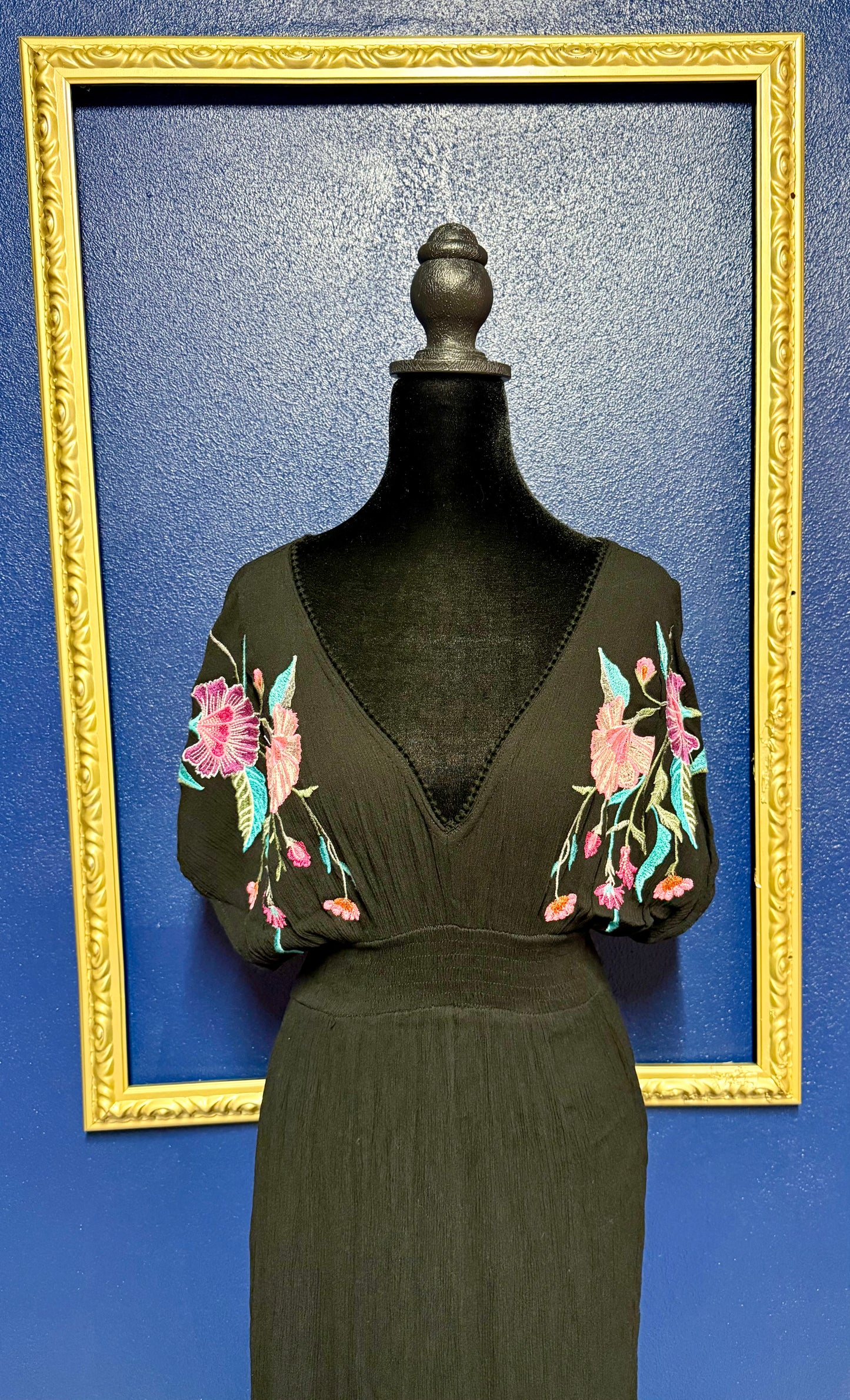 See and Be Seen Embroidered Dress