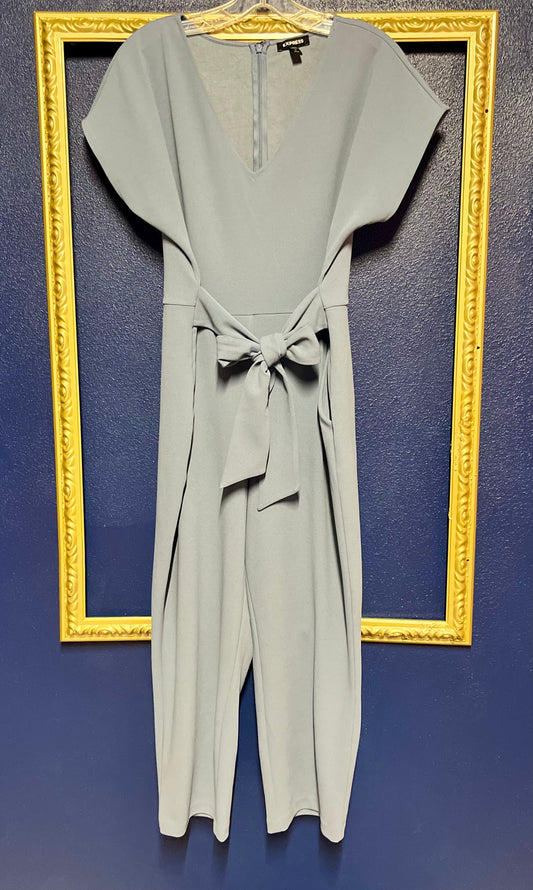 Express Powder Blue Jumpsuit