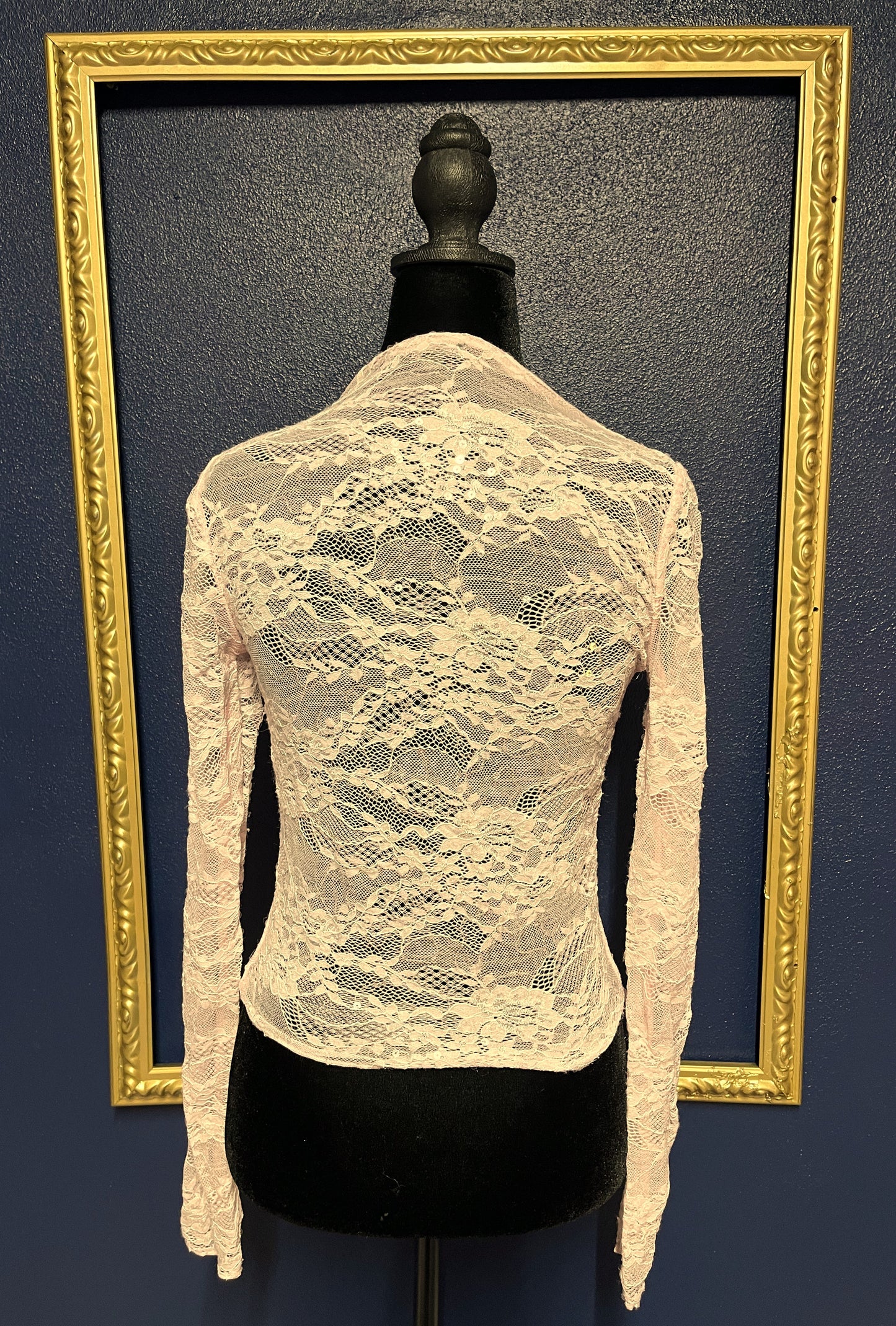 Wild Fable Blush Lace Sequin Top