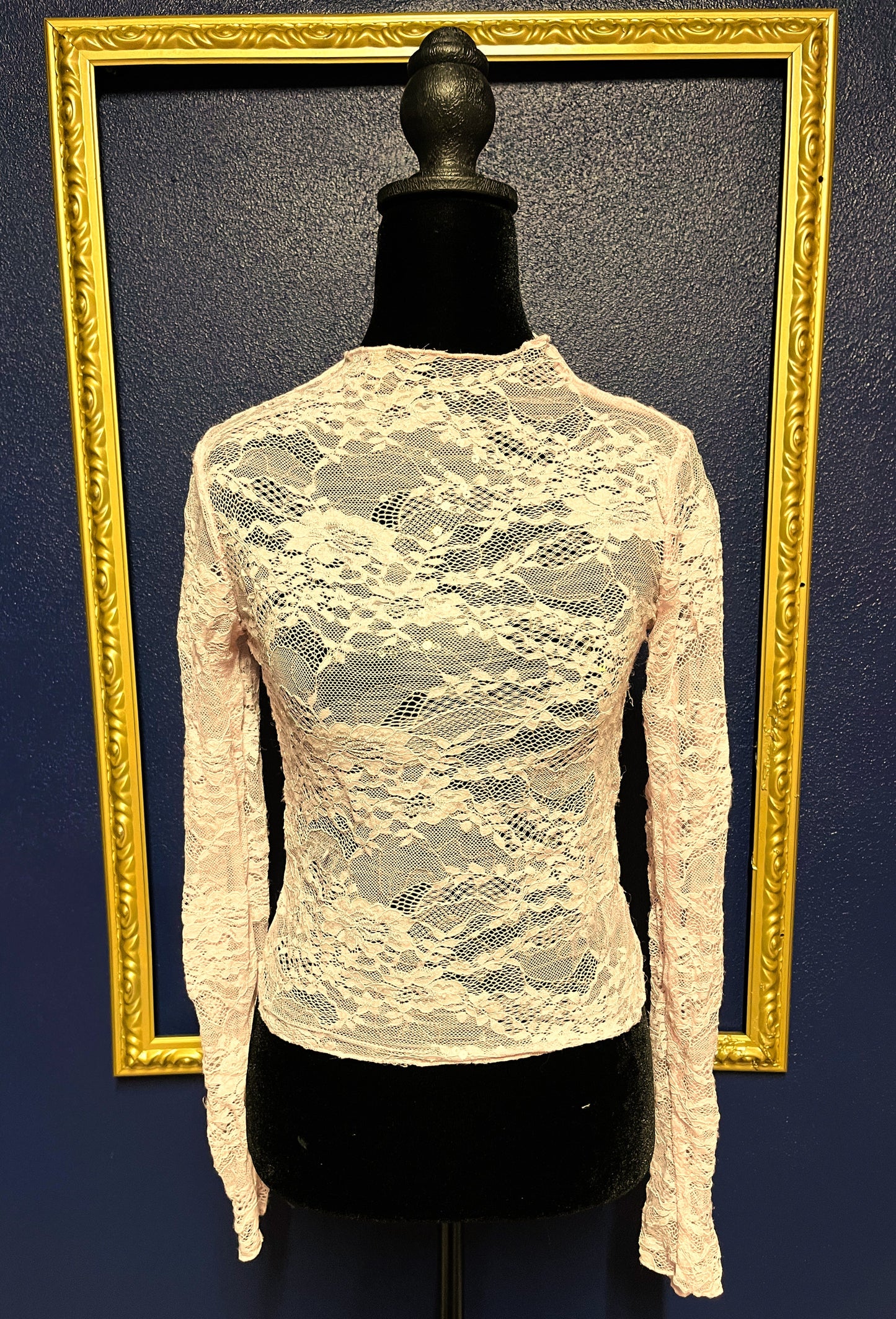 Wild Fable Blush Lace Sequin Top